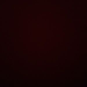 Meet your Posher, Bailey